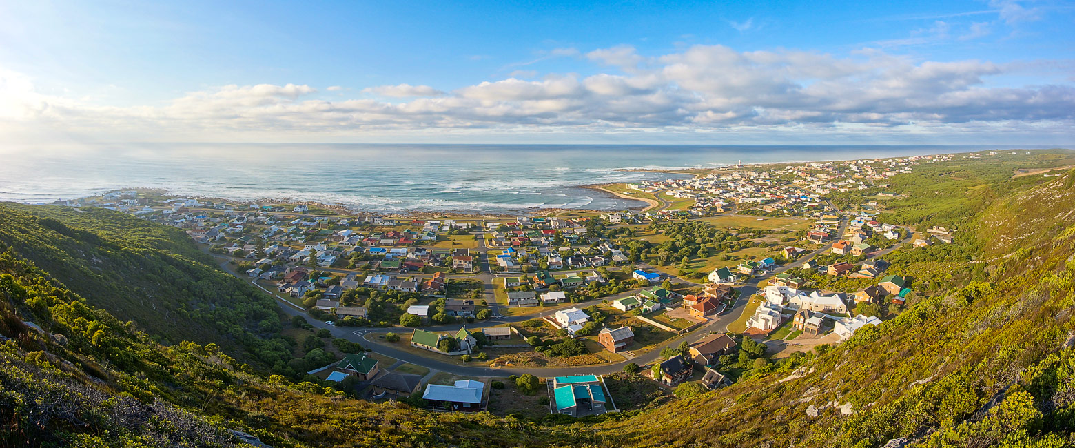 let us know your thoughts about South Africa and we will help you create the perfect safari