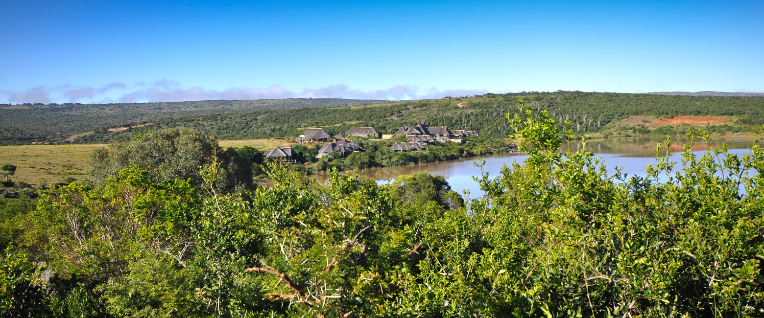 let us know your thoughts about South Africa and we will help you create the perfect safari 