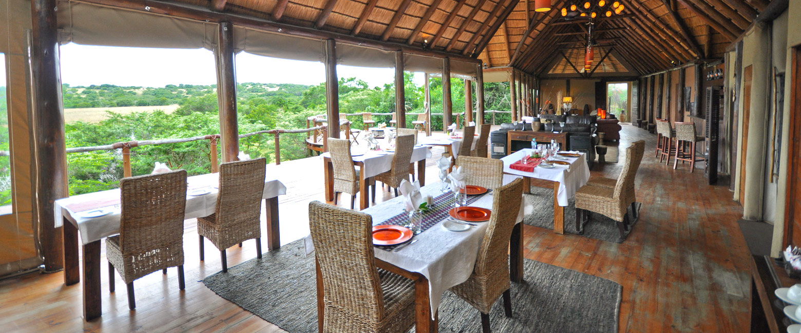 is a relatively upmarket safari property in the Shamwari area of the Eastern Cape