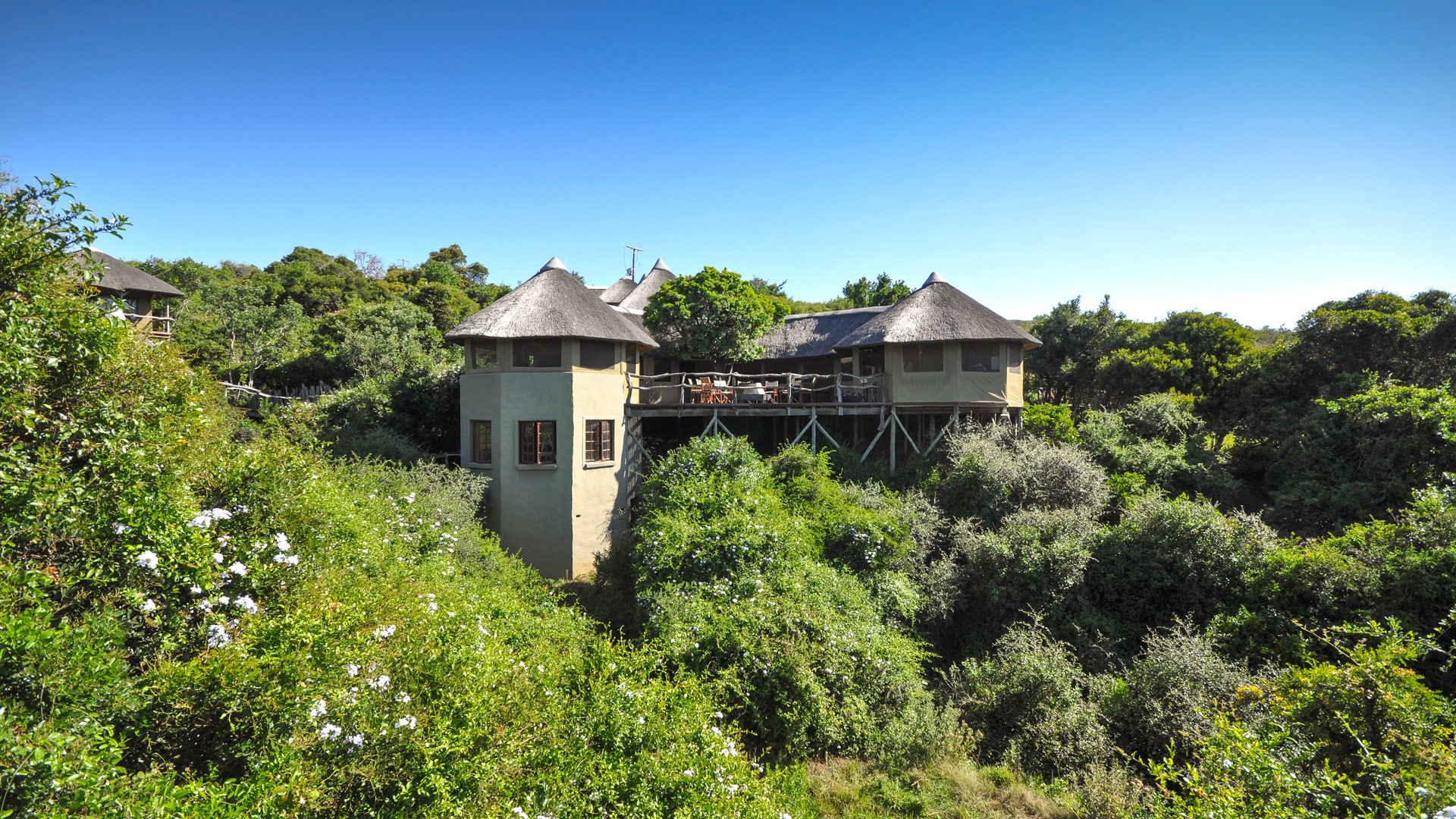 Lalibela Tree Tops