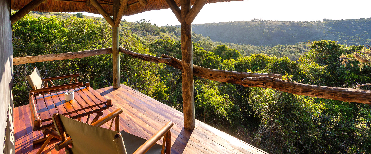is a pleasant property in the Shamwari area