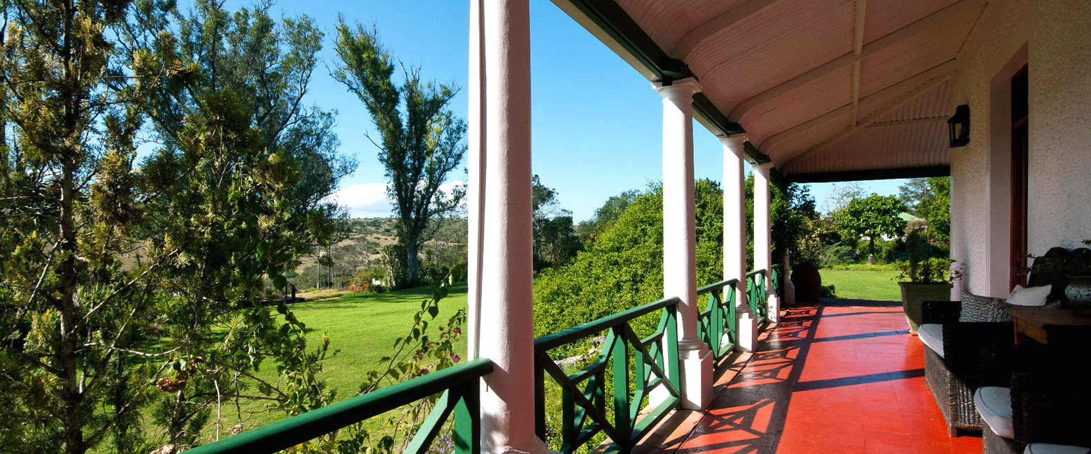 let us know your thoughts about South Africa and we will make sure to deliver the perfect safari 