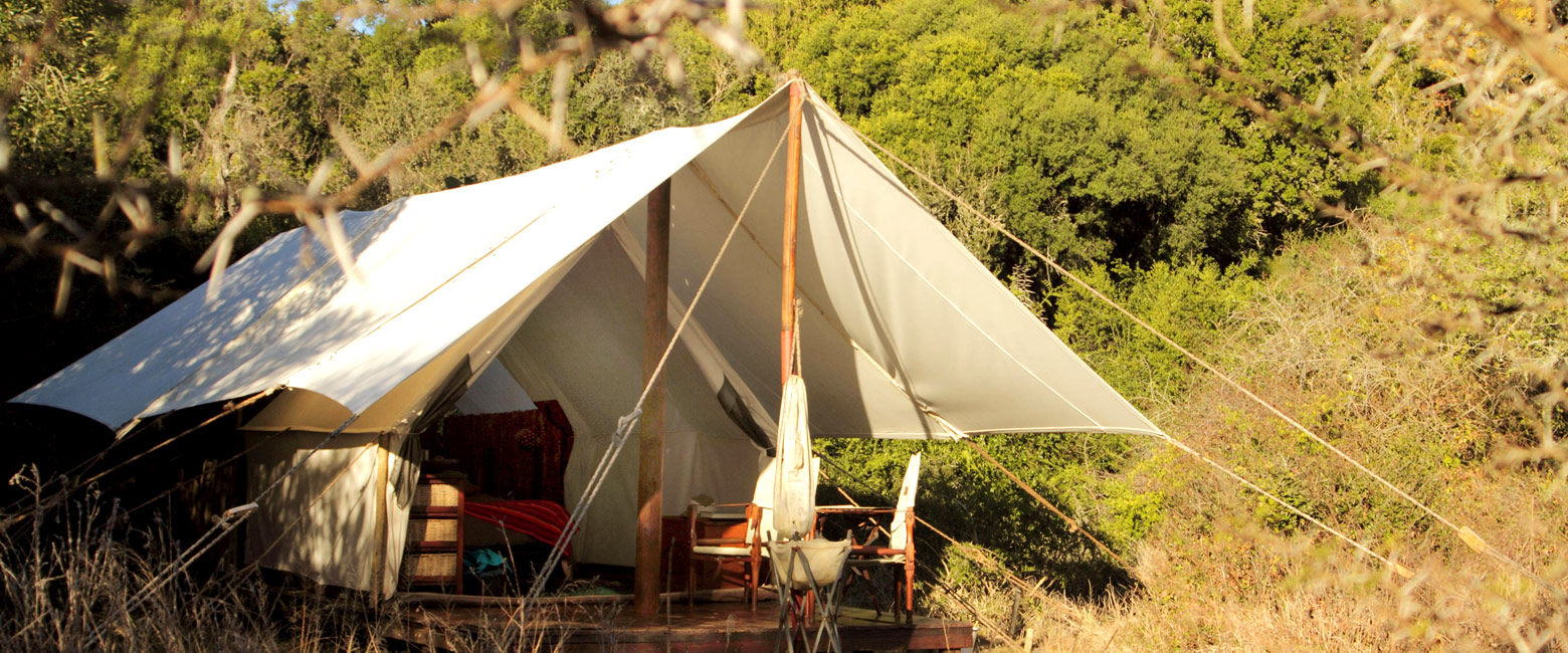 is a refreshingly simple place on the Amakhala Reserve 