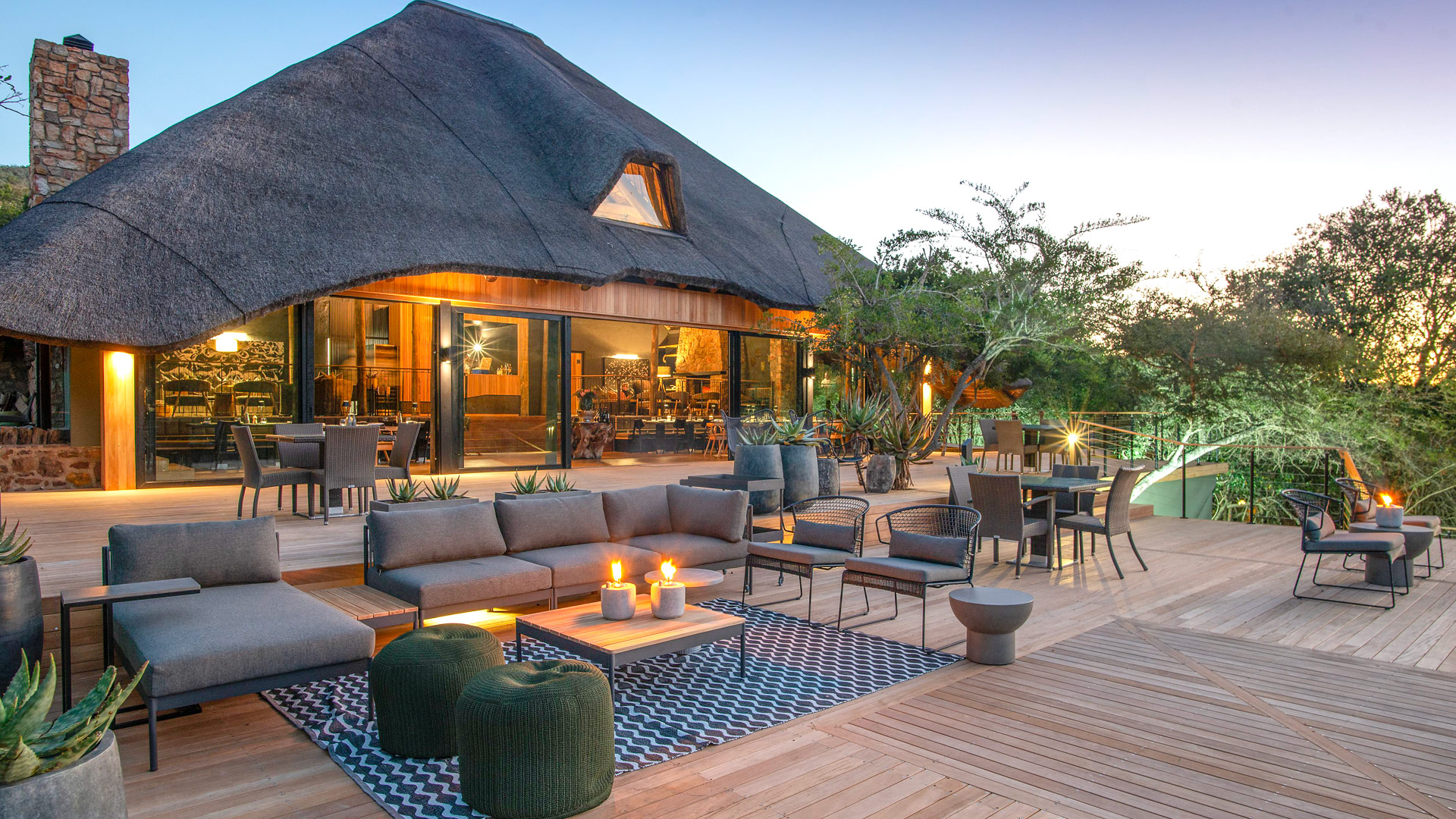 Shamwari Bayethe