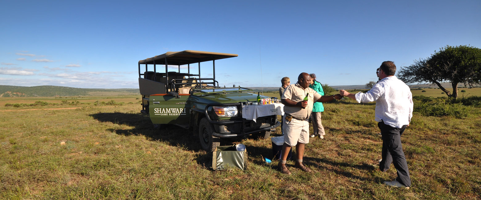 let us know your thoughts about South Africa and we will make sure to deliver the perfect safari 