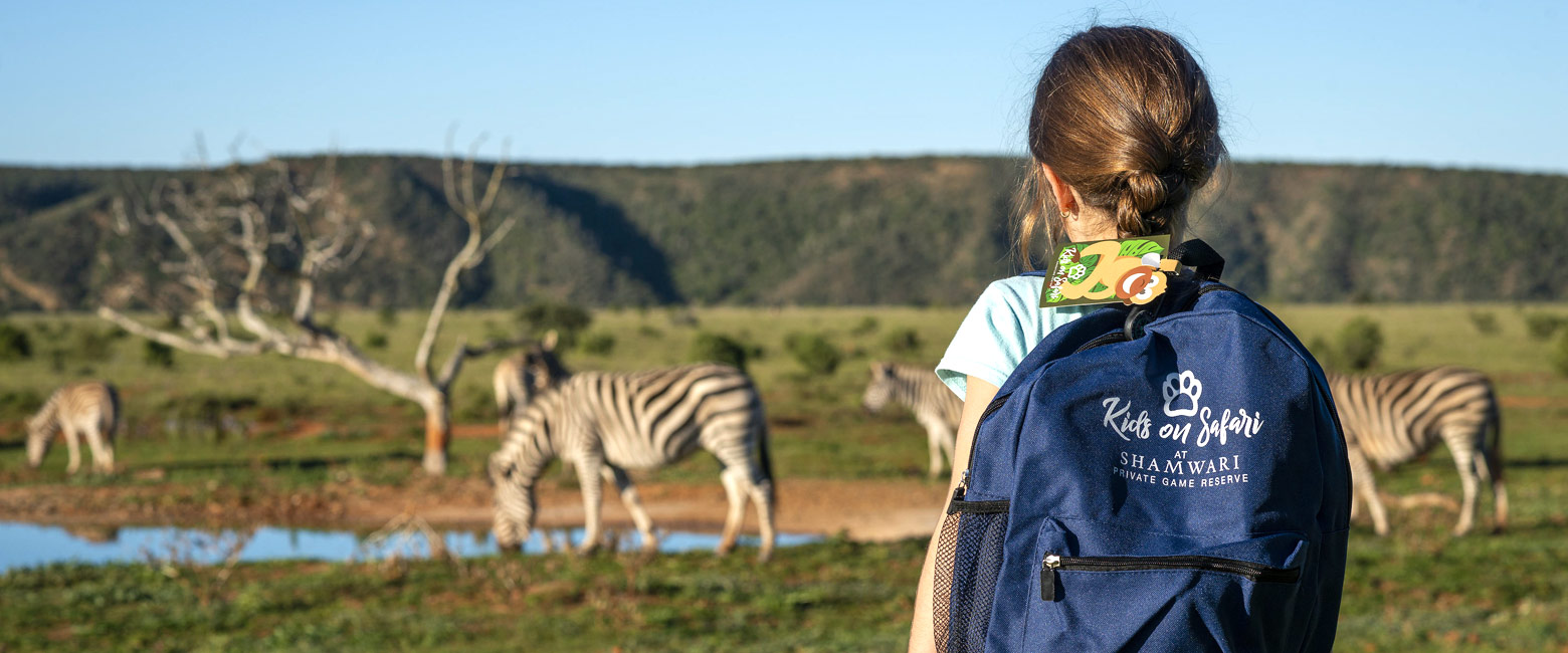 let us know your thoughts about South Africa and we will make sure to deliver the perfect safari 