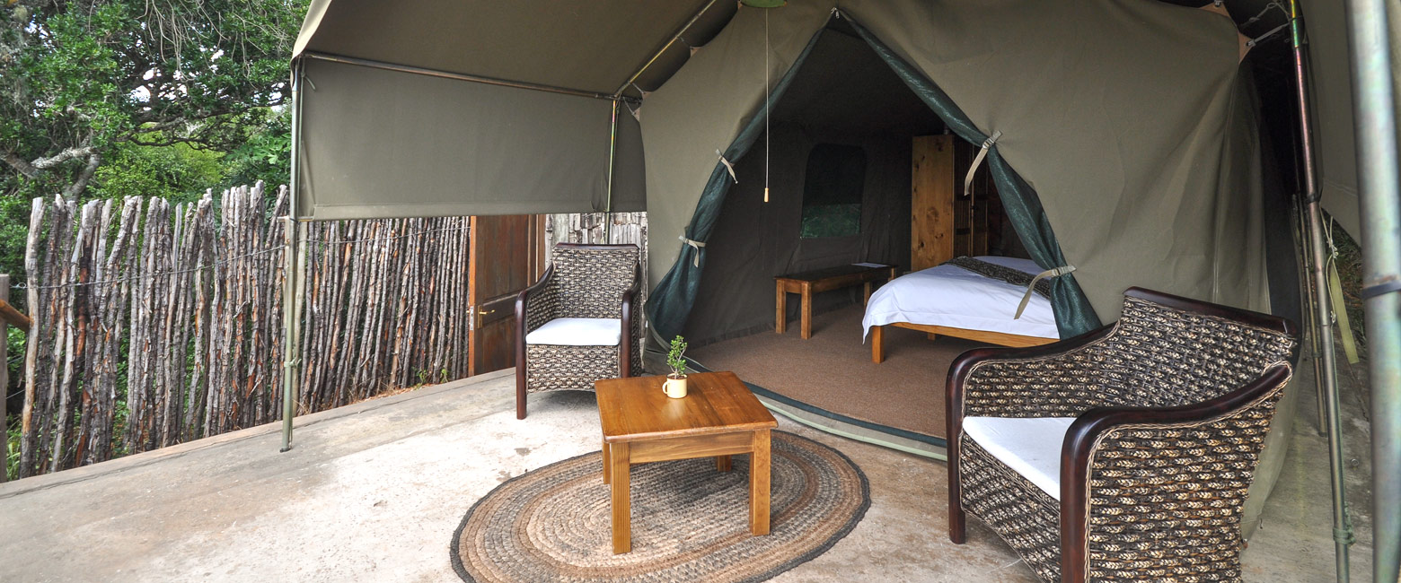 is a refreshingly small and simple place in the Shamwari area of the Eastern Cape 
