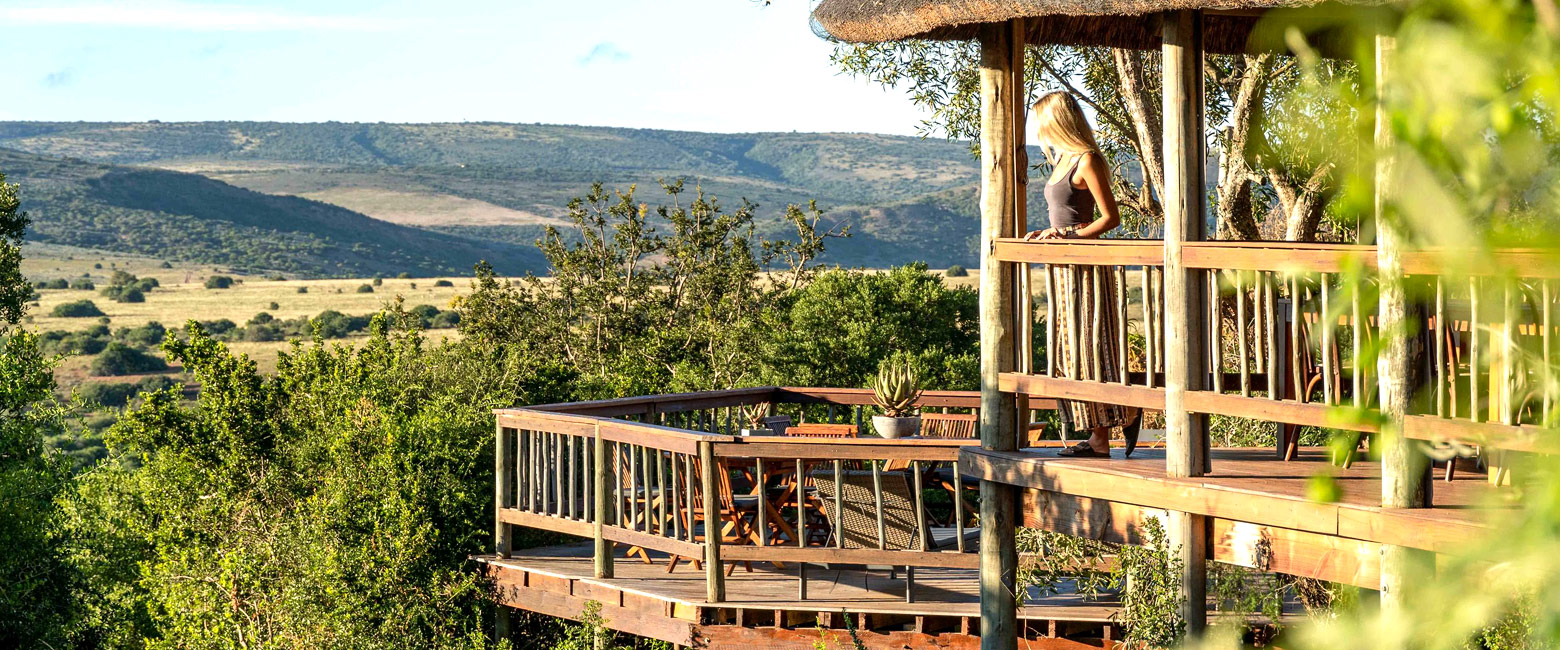 is a refreshingly small and simple place in the Shamwari area of the Eastern Cape 