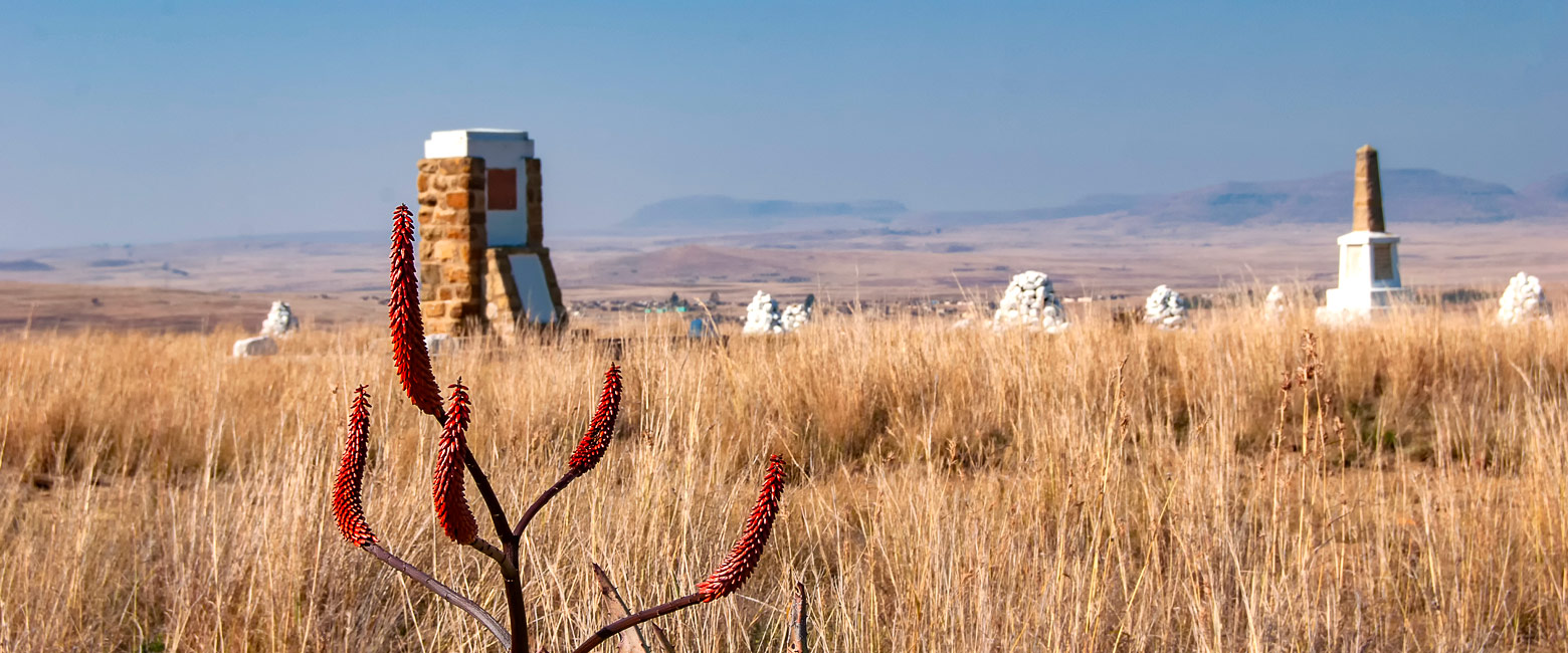 let us know your thoughts about South Africa and we will help you create the perfect safari