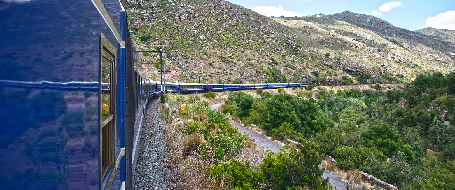 let us know your thoughts about South Africa and we will help you create the perfect safari