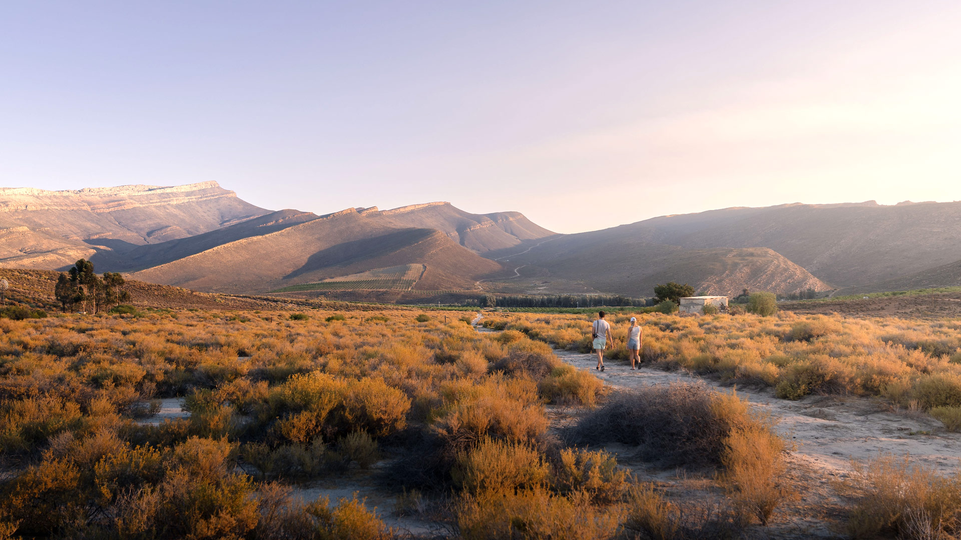 Safari to Cederberg