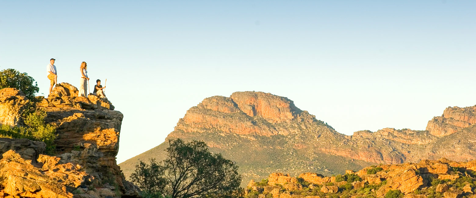 let us know your thoughts about South Africa and we will help you create the perfect safari