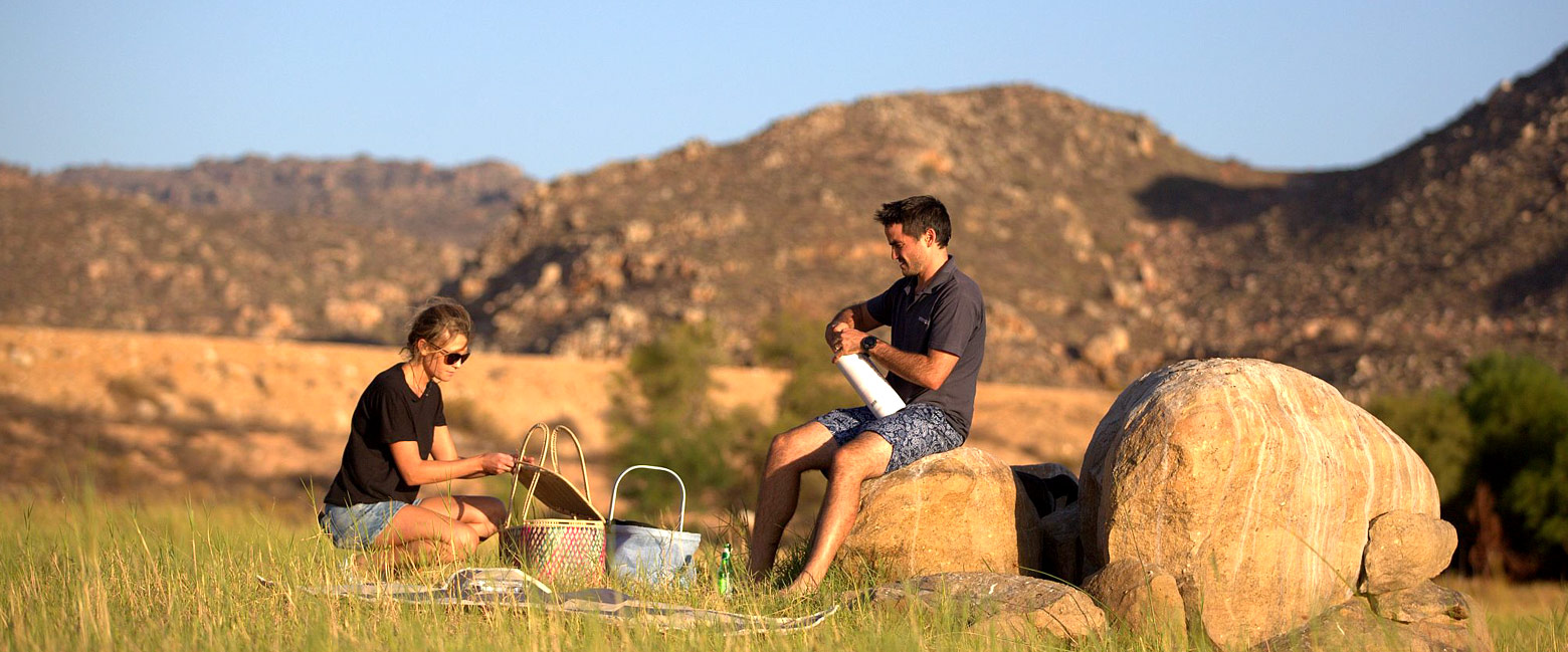 let us know your thoughts about South Africa and we will help you create the perfect safari 