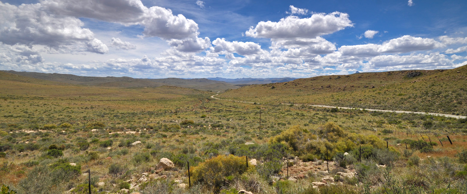 let us know your thoughts about South Africa and we will help you create the perfect safari 