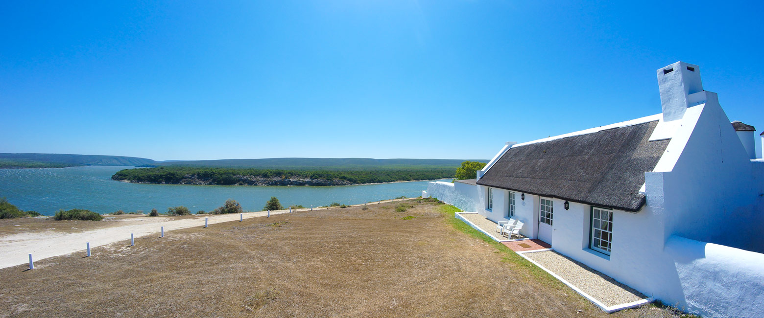 let us know your thoughts about South Africa and we will help you create the perfect safari 