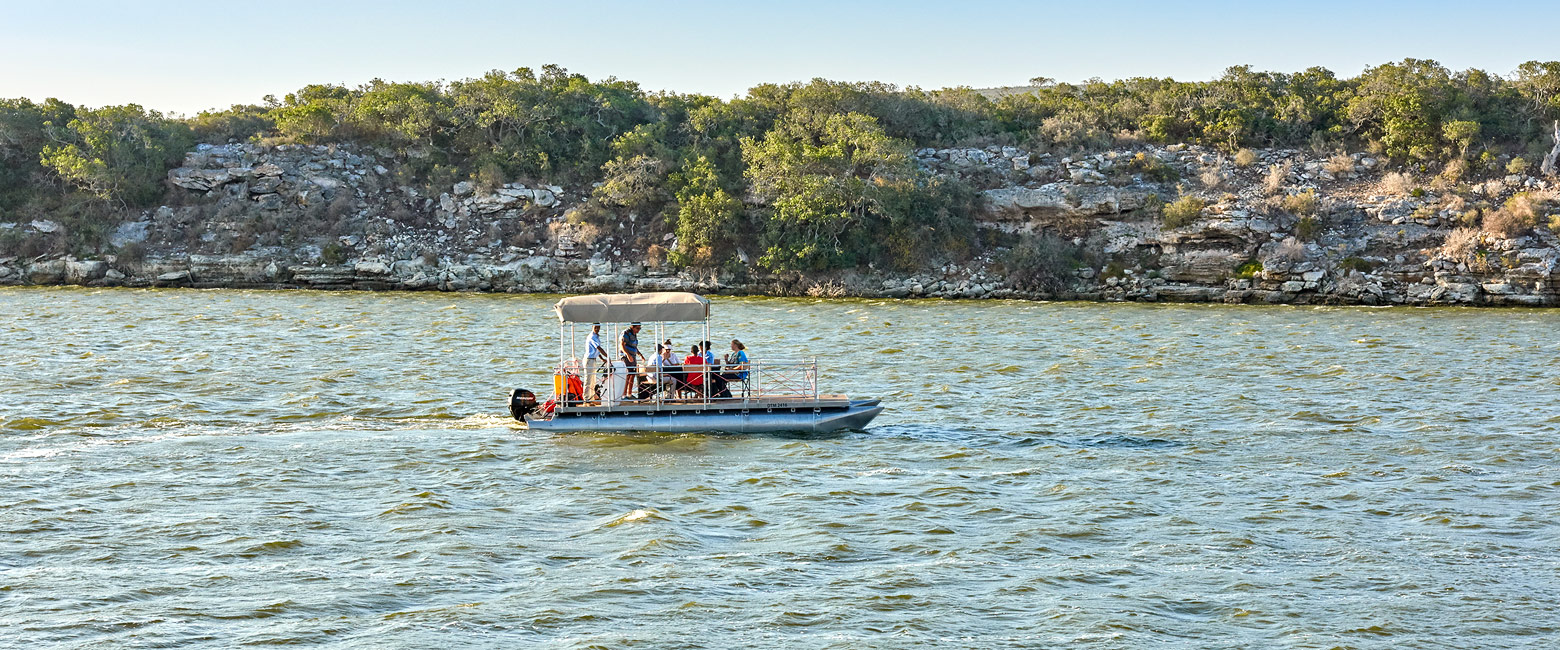 let us know your thoughts about South Africa and we will help you create the perfect safari 