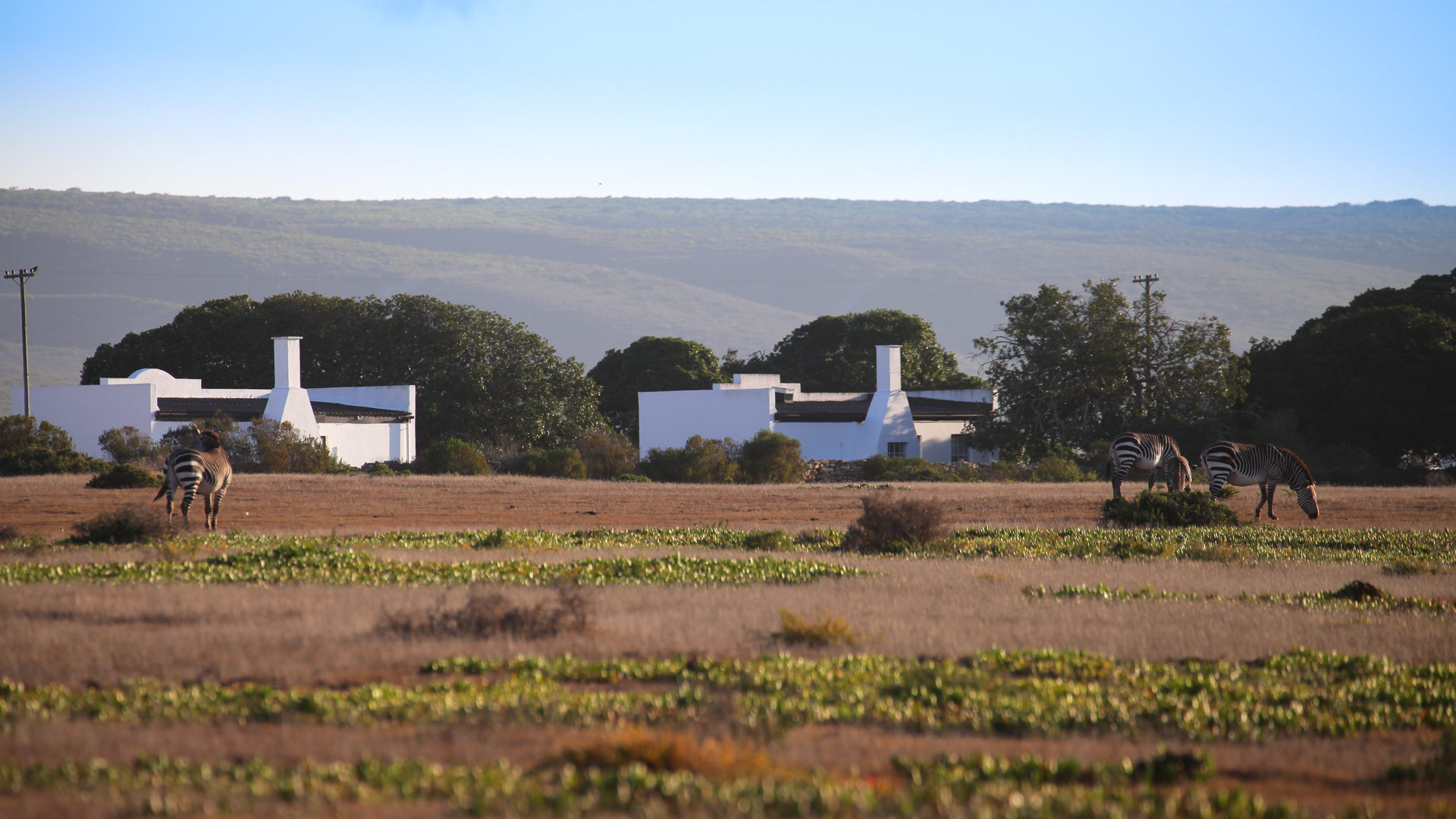 De Hoop Cottages