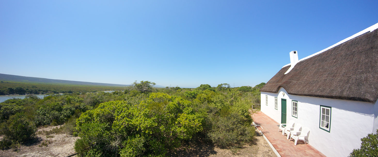 let us know your thoughts about South Africa and we will help you create the perfect safari