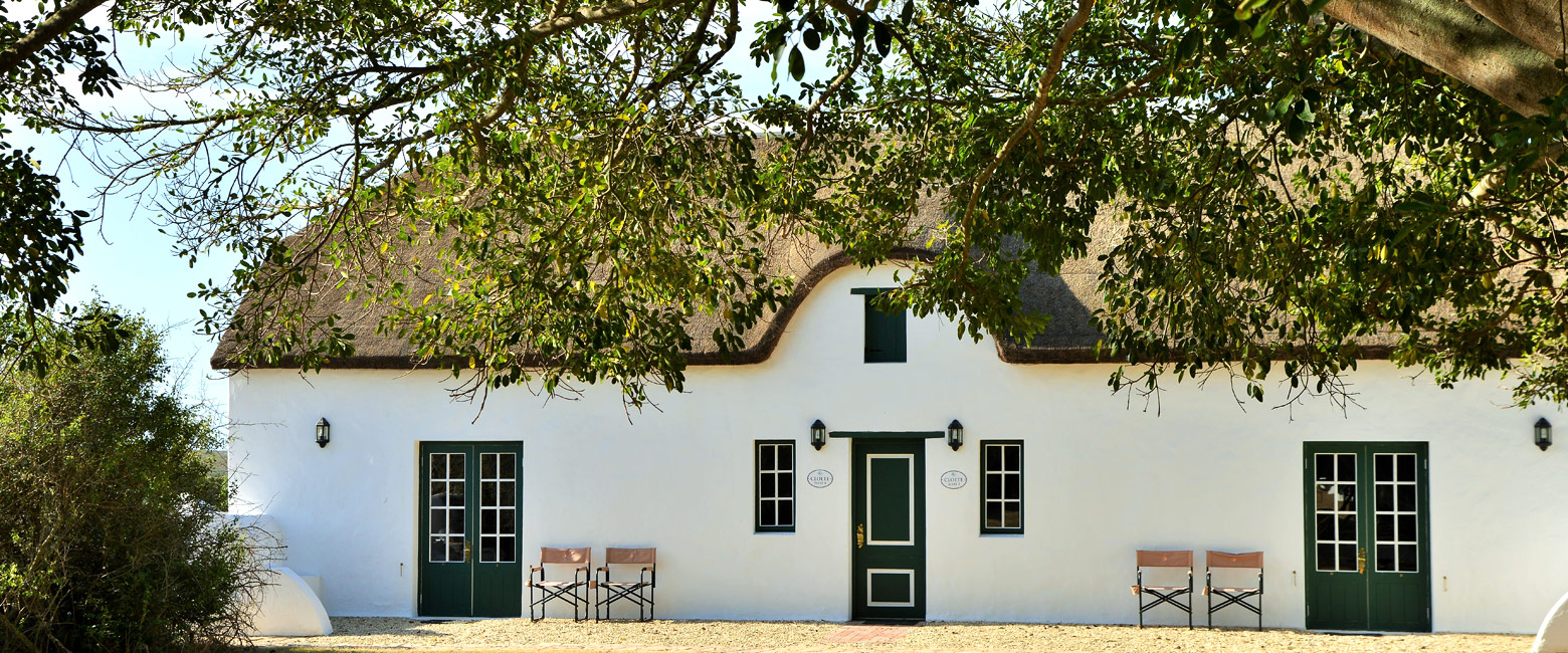 let us know your thoughts about South Africa and we will help you create the perfect safari