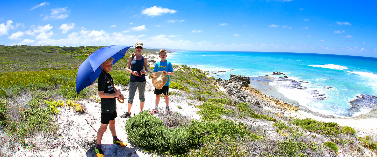 let us know your thoughts about South Africa and we will help you create the perfect safari