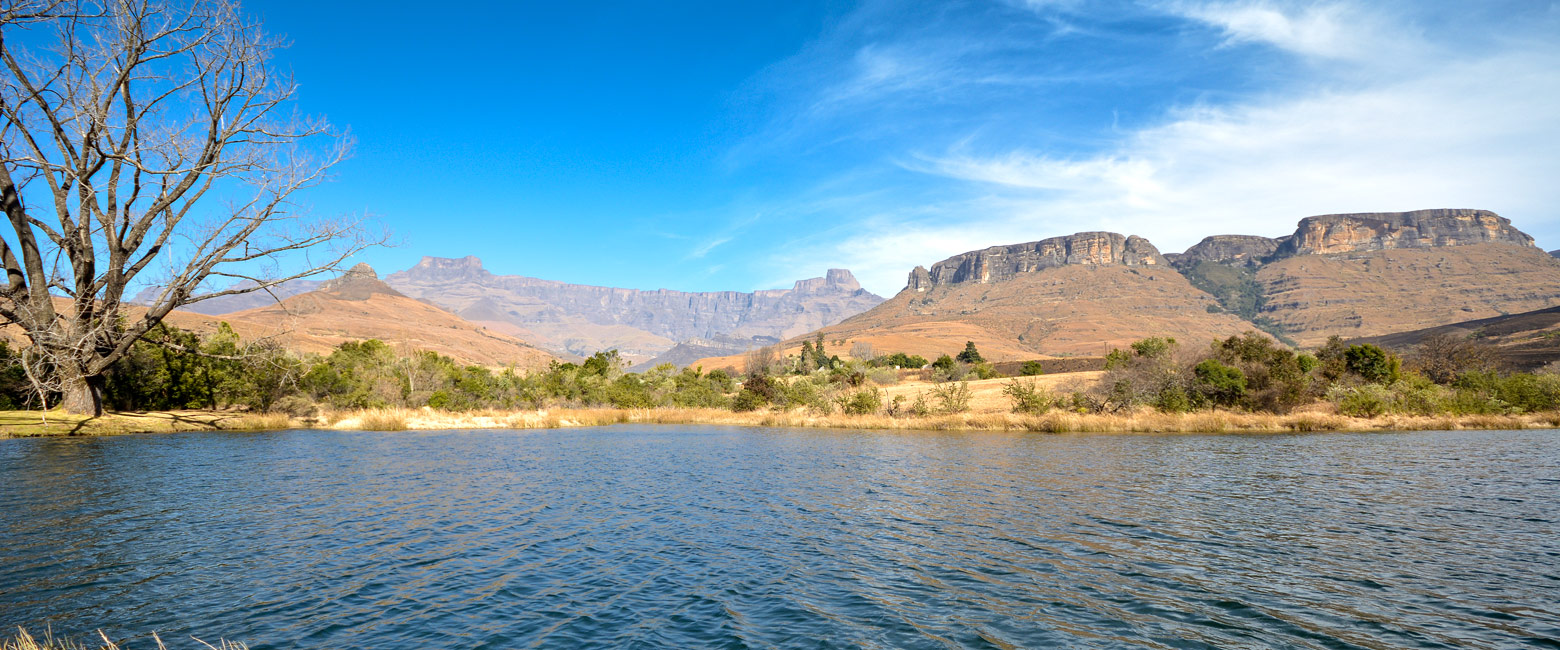 let us know your thoughts about South Africa and we will help you create the perfect safari