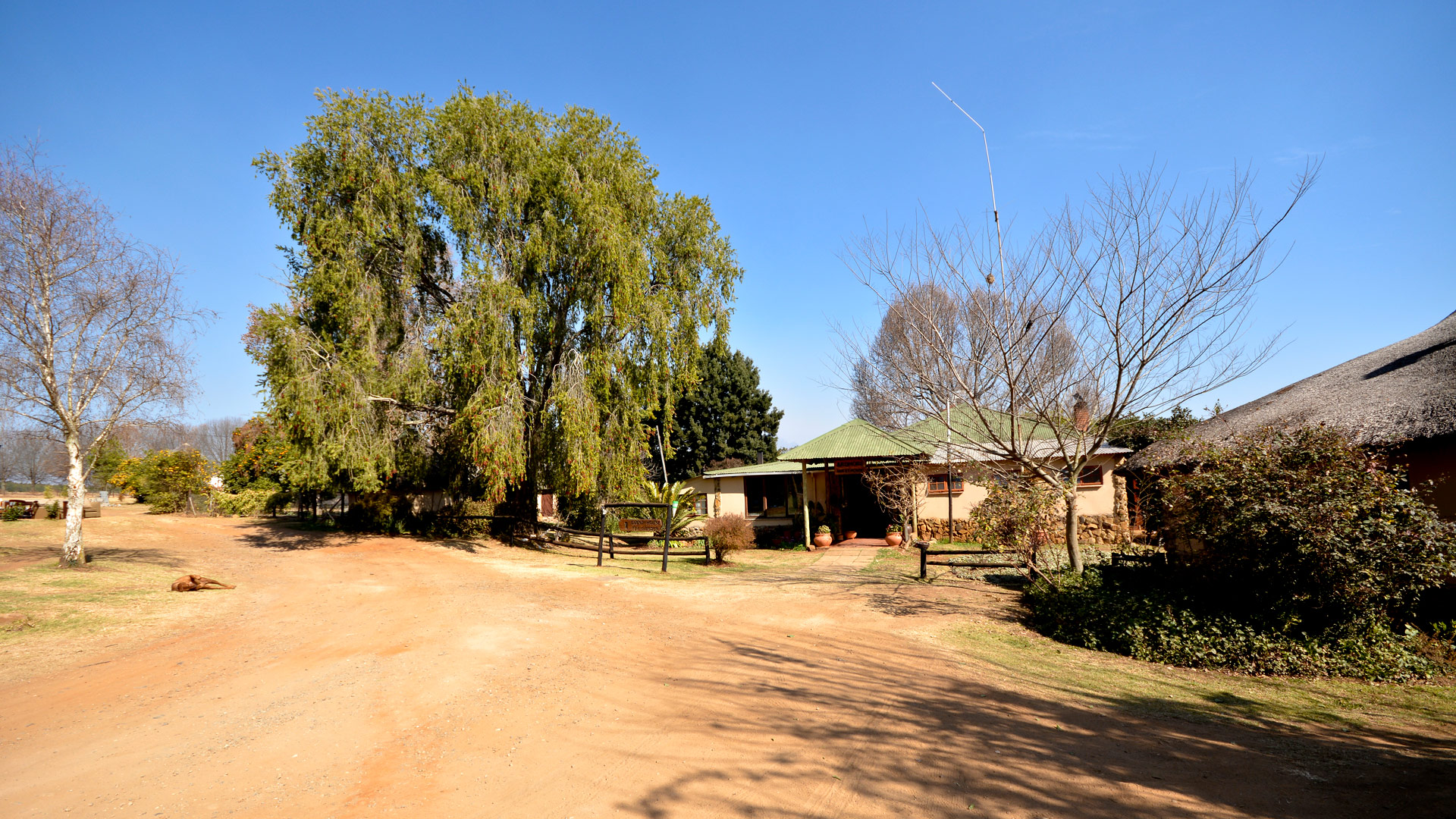Ardmore Guest Farm
