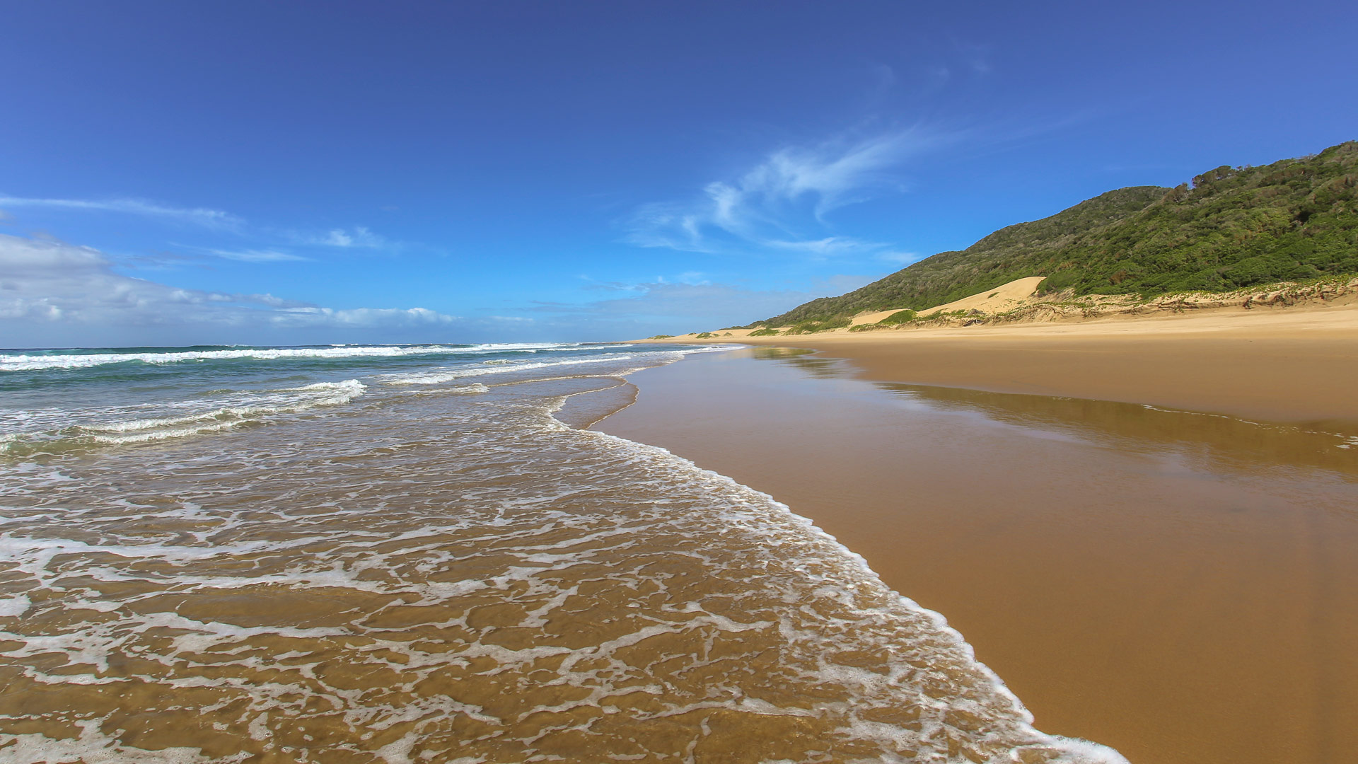 Travel to Elephant Coast