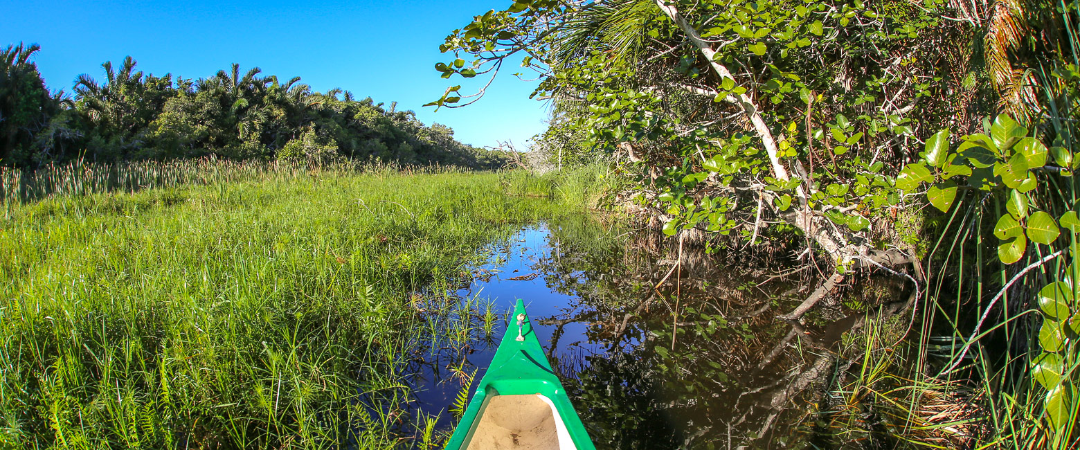 let us know your thoughts about South Africa and we will help you create the perfect safari