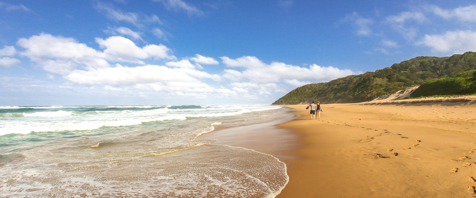 let us know your thoughts about South Africa and we will help you create the perfect safari