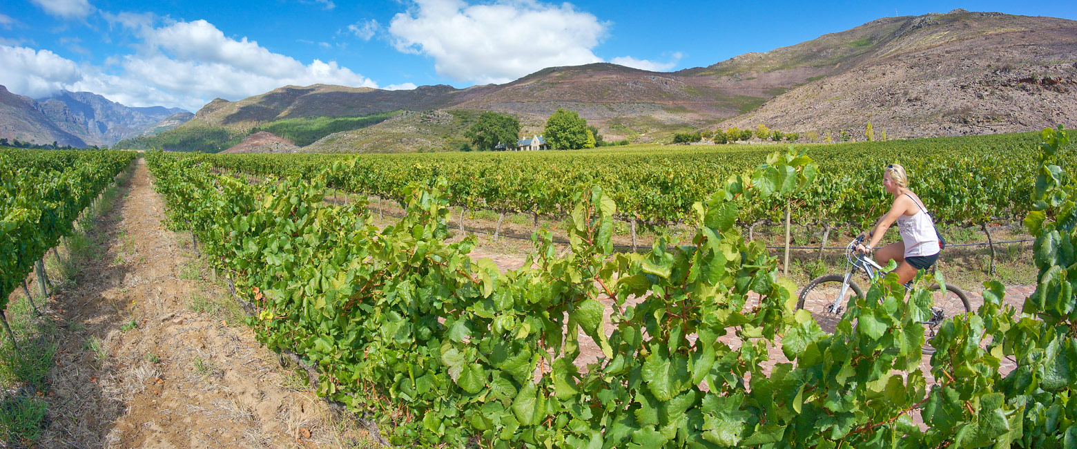 is the beautiful heart of the Cape Winelands 
