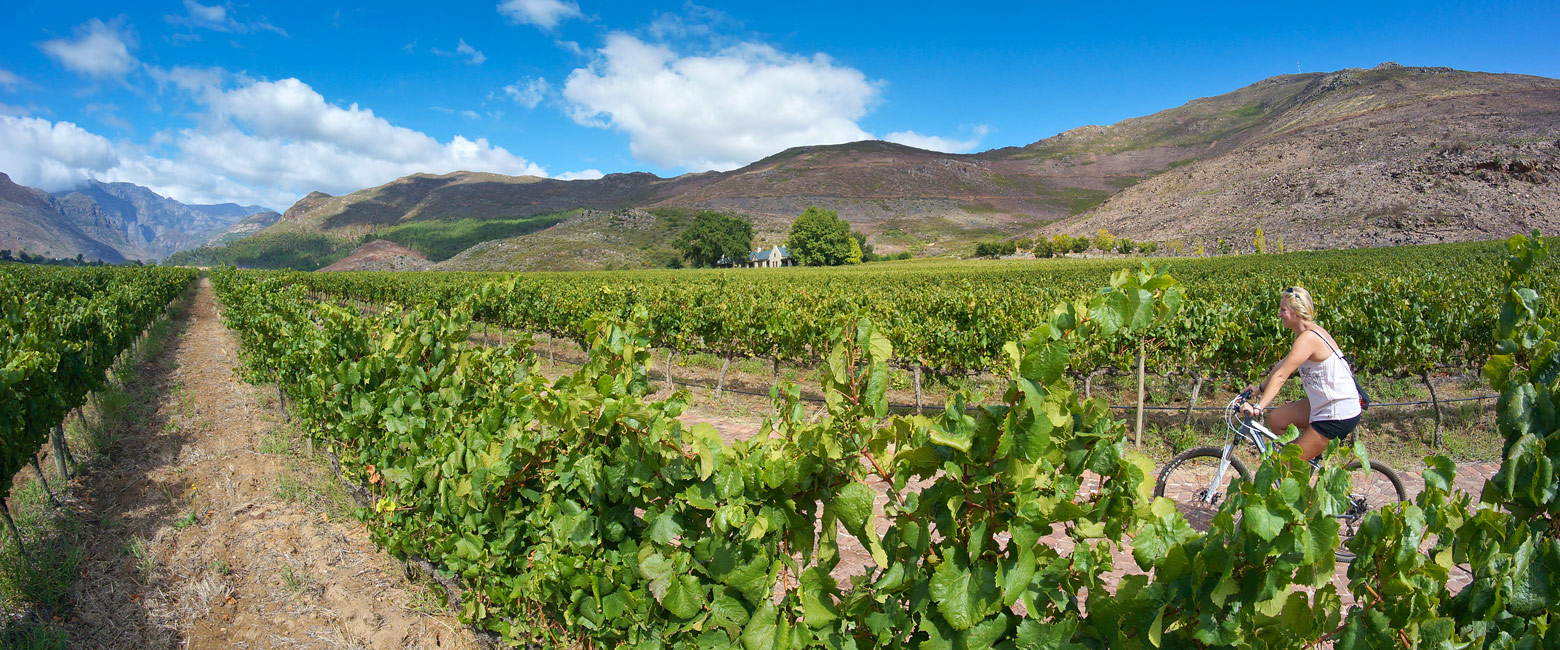 let us know your thoughts about South Africa and we will help you create the perfect safari
