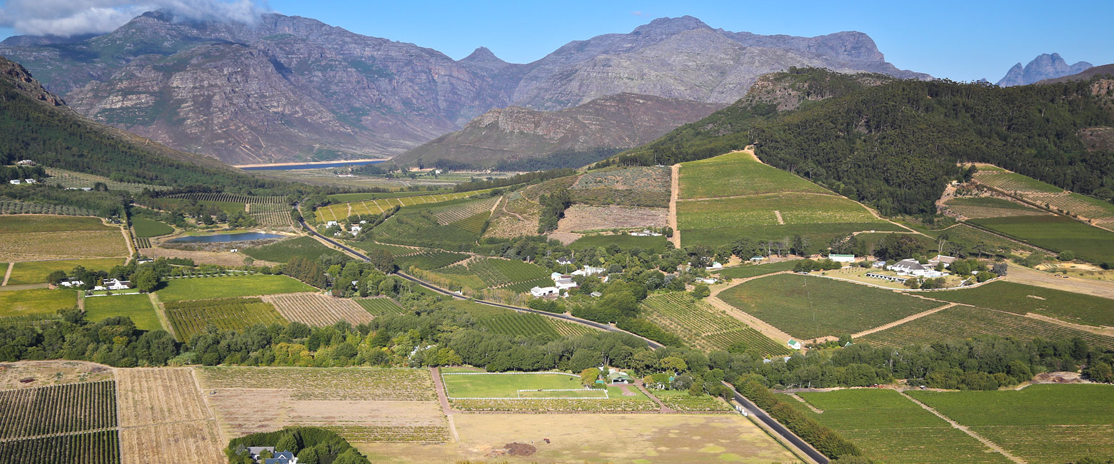 let us know your thoughts about South Africa and we will help you create the perfect safari