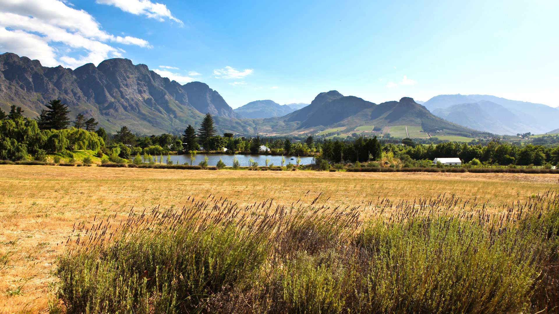 Bo La Motte