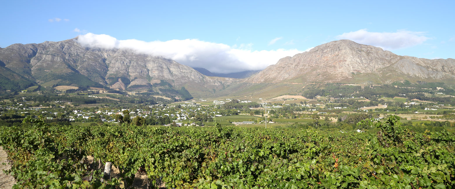 let us know your thoughts about South Africa and we will help you create the perfect safari