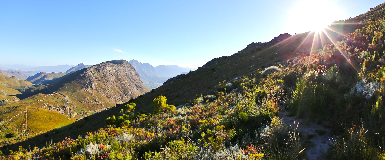 let us know your thoughts about South Africa and we will help you create the perfect safari