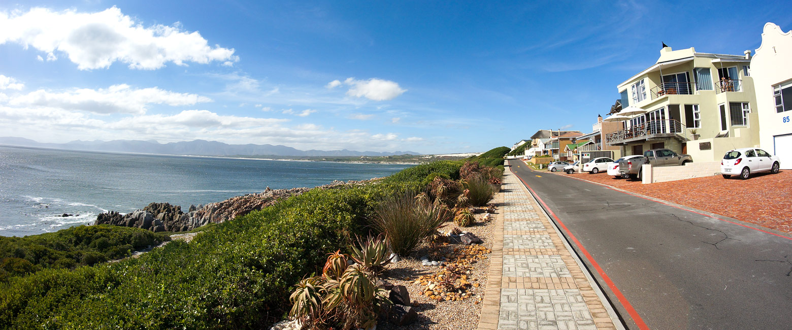 is a working fishing port, renowned for shark-diving