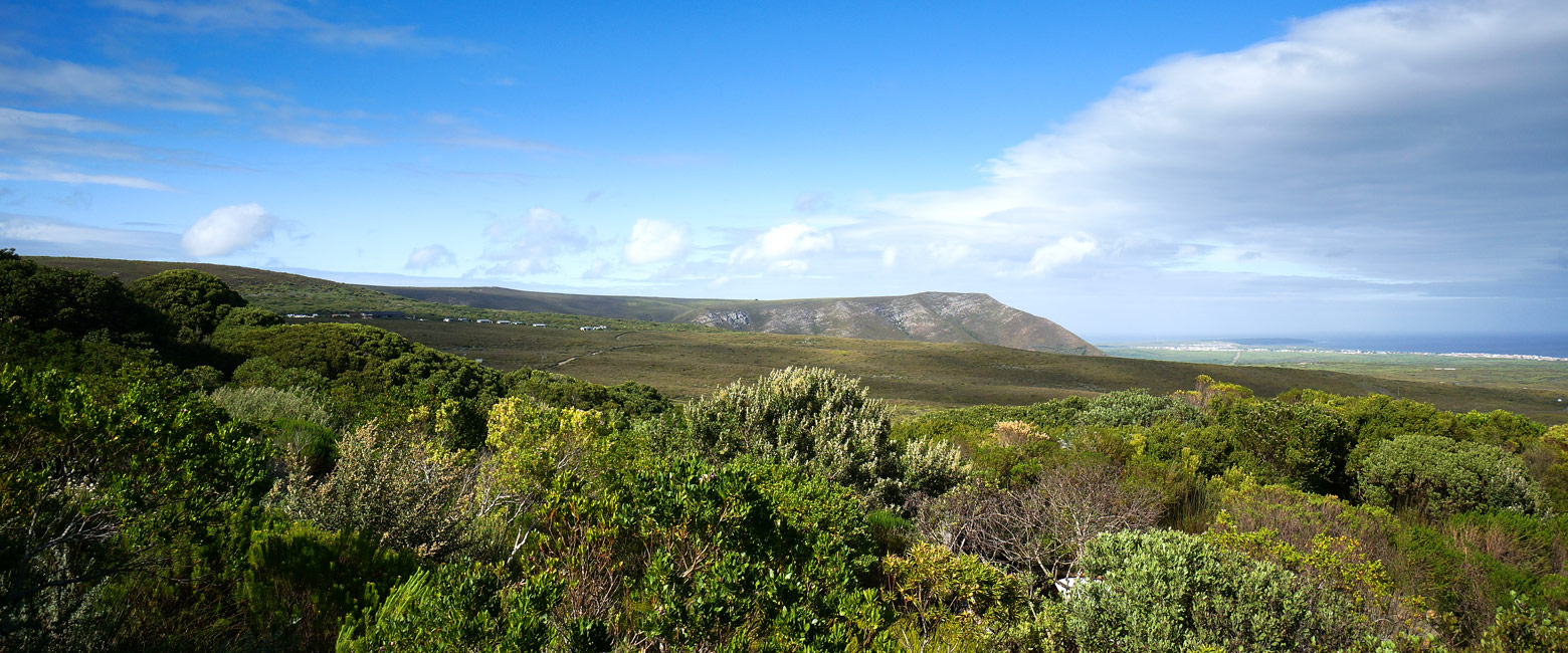 let us know your thoughts about South Africa and we will help you create the perfect safari