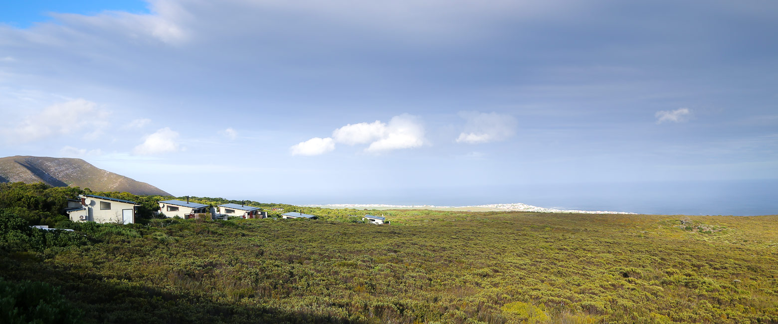 let us know your thoughts about South Africa and we will help you create the perfect safari 
