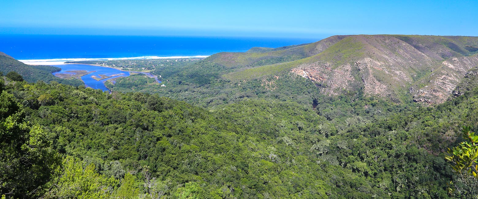 let us know your thoughts about South Africa and we will help you create the perfect safari 