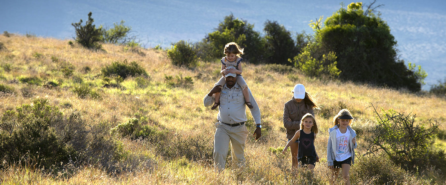 let us know your thoughts about South Africa and we will help you create the perfect safari