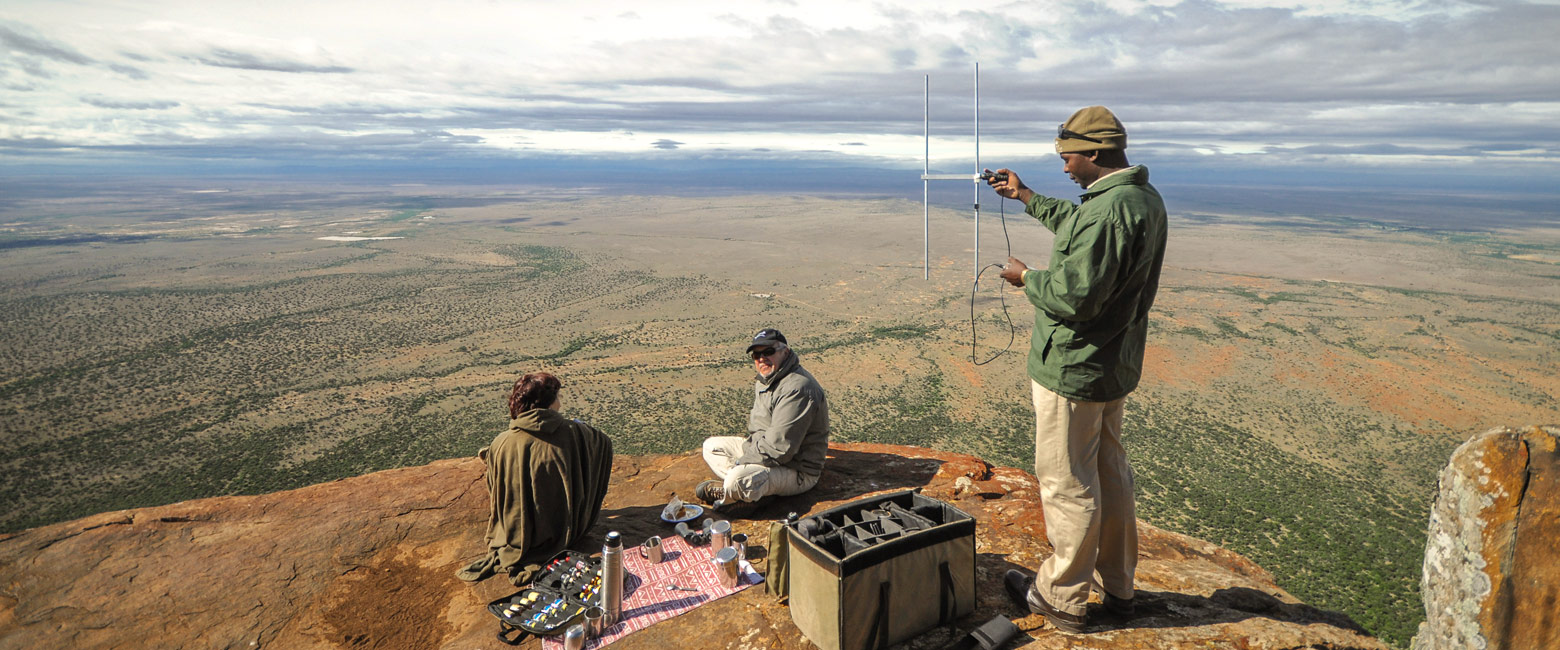 let us know your thoughts about South Africa and we will help you create the perfect safari