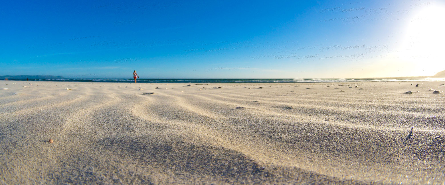 let us know your thoughts about South Africa and we will help you create the perfect safari