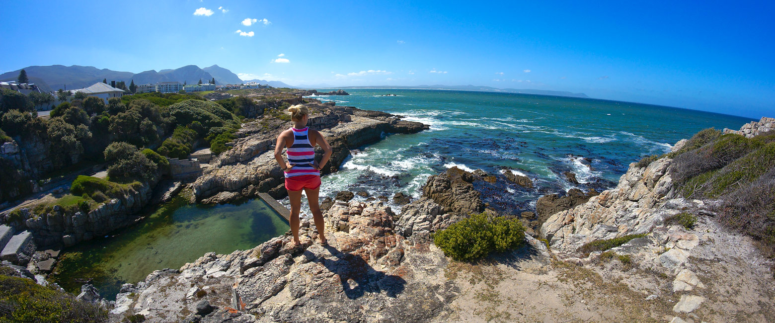 let us know your thoughts about South Africa and we will help you create the perfect safari 