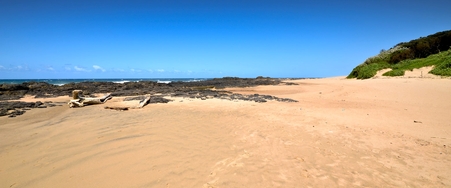 is the sub-tropical coast running south from Durban