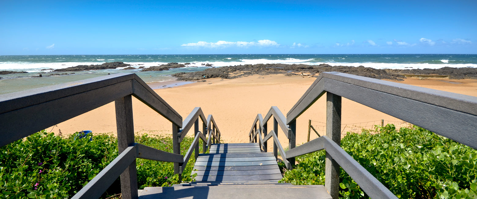 let us know your thoughts about South Africa and we will help you create the perfect safari