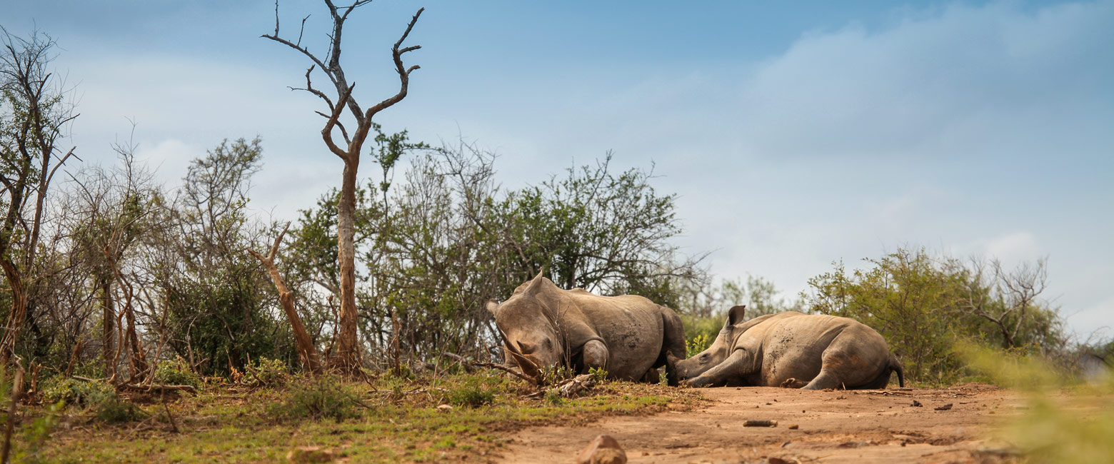 is a well-known safari area in Kwa-Zulu Natal