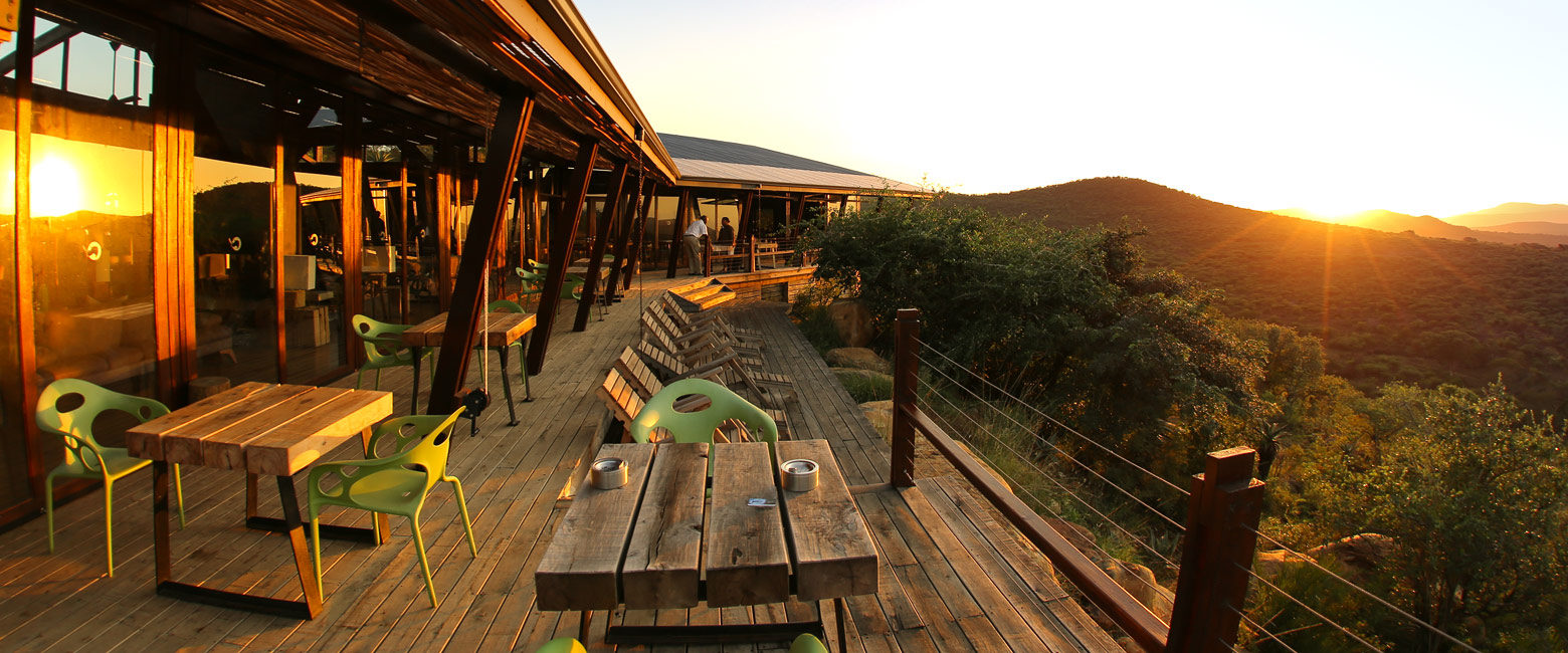let us know your thoughts about South Africa and we will help you create the perfect safari