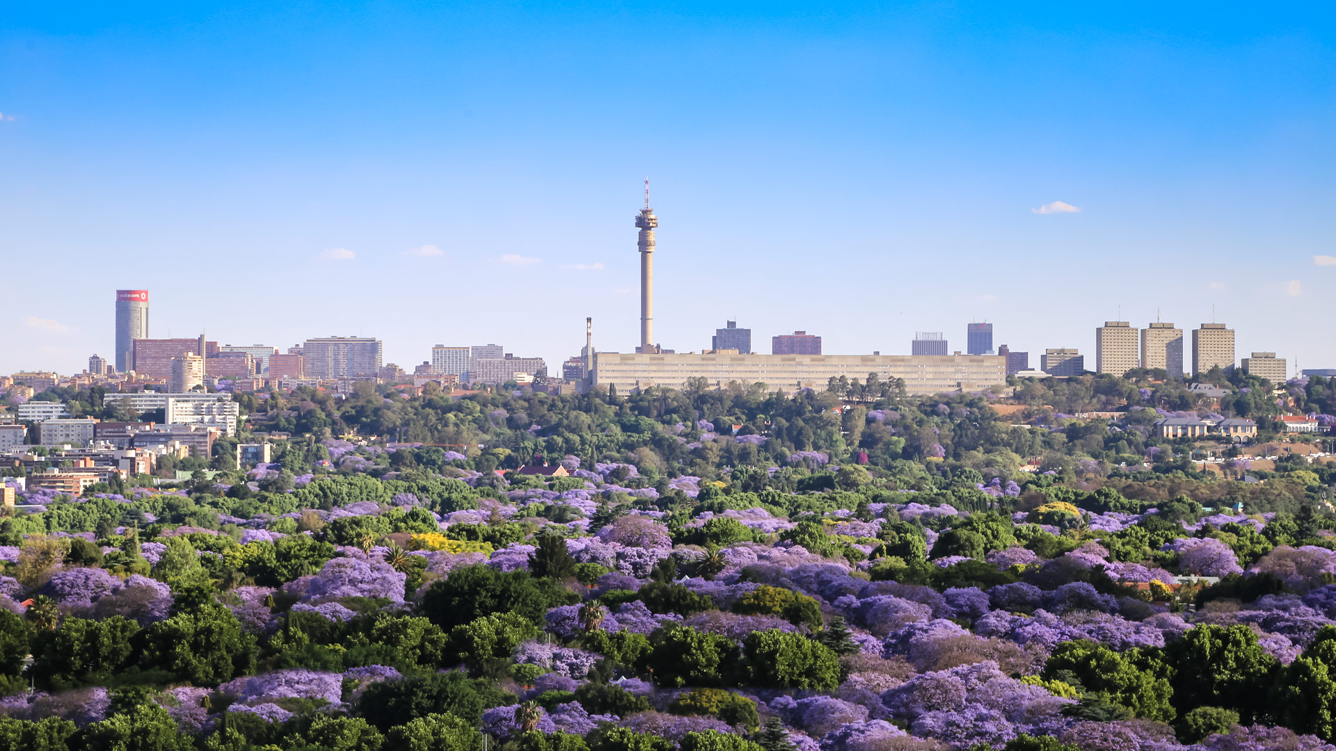 Travel to Johannesburg