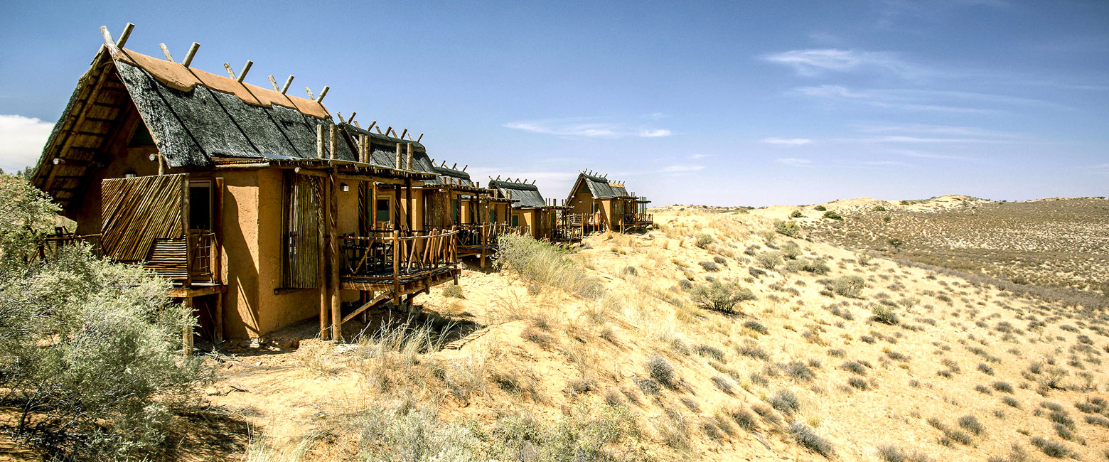 is a vast and arid wilderness traversing the border into Botswana
