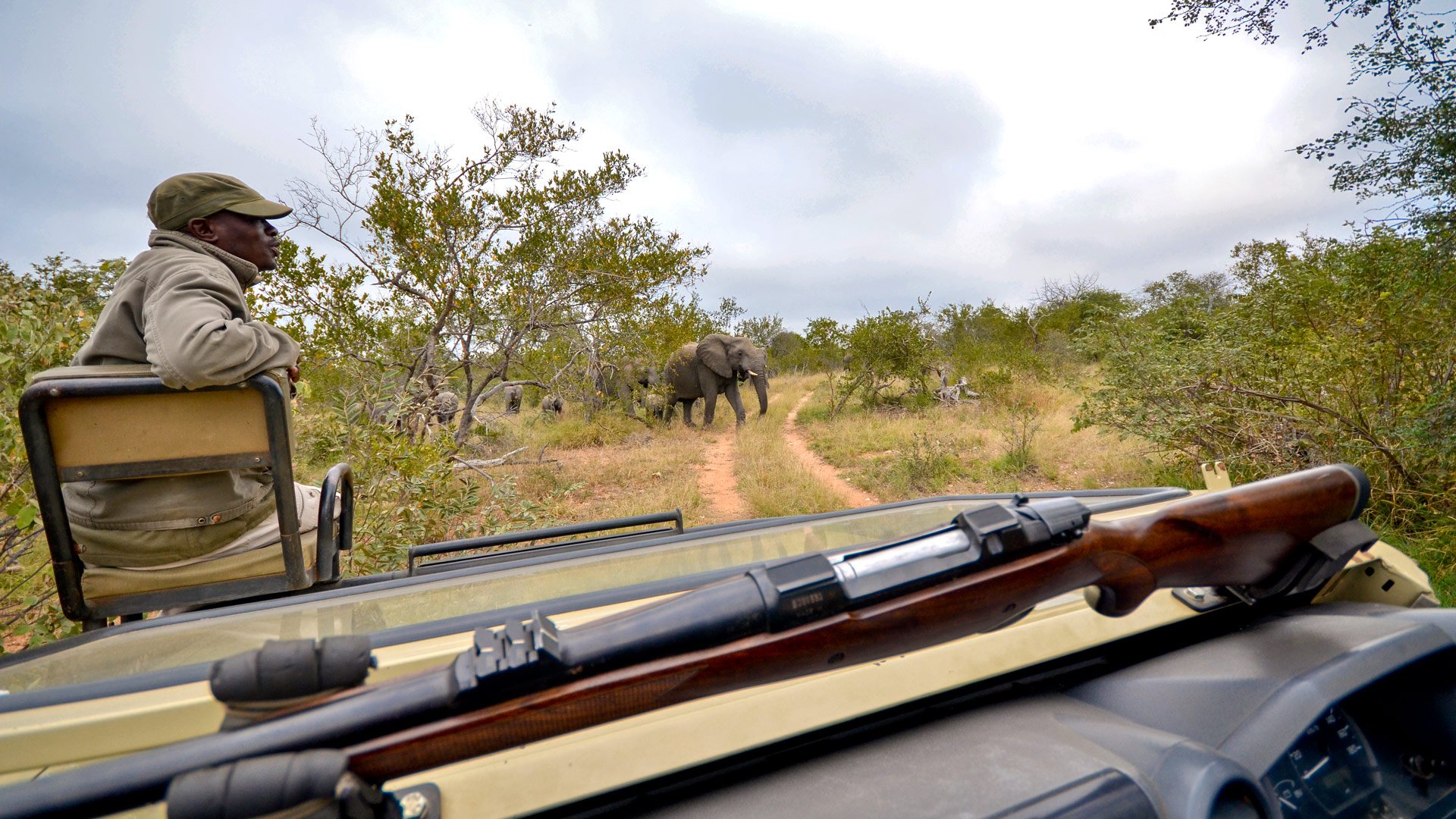Safari to Balule Reserve